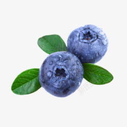 蓝色浆果实物带叶子的野生蓝莓高清图片