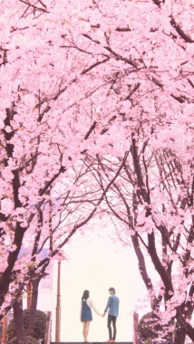 粉色樱花H5背景摄影图片