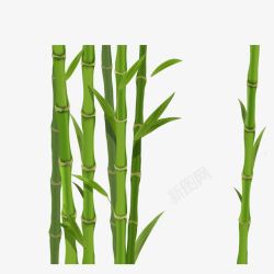 绿色柱子绿色竹子矢量图高清图片