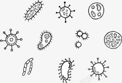 单细胞生物单细胞菌群高清图片