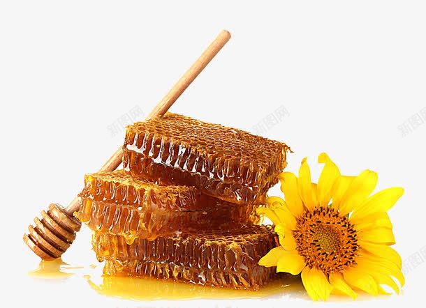 蜂蜜png免抠素材_88icon https://88icon.com 美食 花朵 蜂巢 蜂蜜 蜜蜂窝