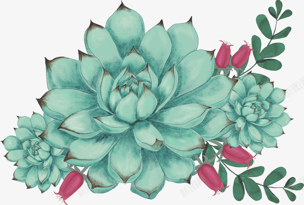 手绘绿色多肉植物图png免抠素材_88icon https://88icon.com 创意 卡通手绘 叶子 多肉植物 植物 水彩 绿叶 花朵 鲜花