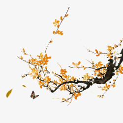 枝桠秋天落叶高清图片