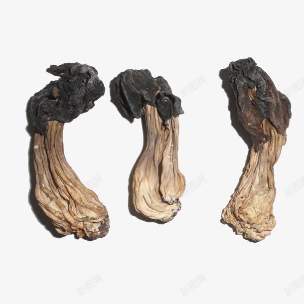 中药名牌风干中药材png免抠素材_88icon https://88icon.com 中医名片 中药名牌 健康 药材 风干