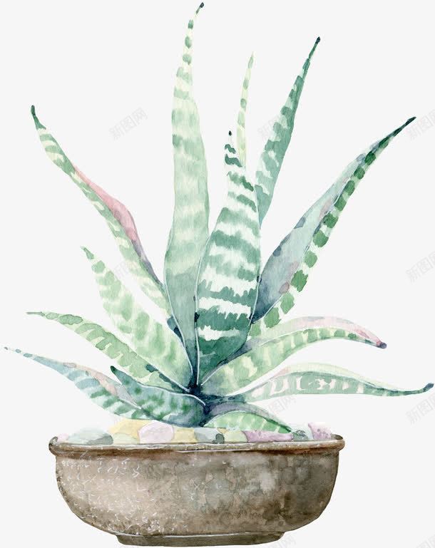 手绘绿色植物盆栽png免抠素材_88icon https://88icon.com 唯美 小清新 手绘 手绘绿色植物盆栽 植物 盆栽 绿色