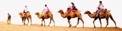 骆驼沙漠骑着素材
