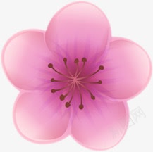 粉色渐变桃花装饰png免抠素材_88icon https://88icon.com 桃花 渐变 粉色 装饰