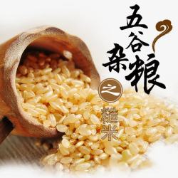 糙米五谷杂粮之糙米高清图片