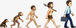 多样性人类进化史高清图片