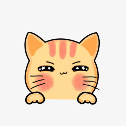 粉色猫咪卫衣橘色小猫咪高清图片