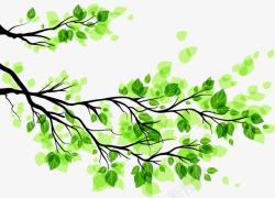 科普春季宣传绿色树叶树枝高清图片