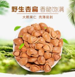 杏仁绿色背景素材