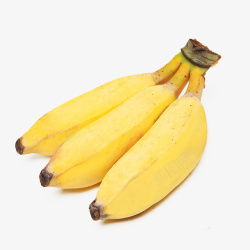三根黄色小清新淘宝小米蕉水果免素材