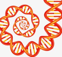 人体DNA遗传物质链素材