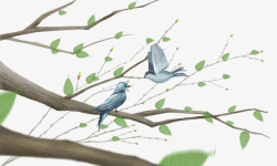 手绘水彩插画春天插图树枝树叶小素材