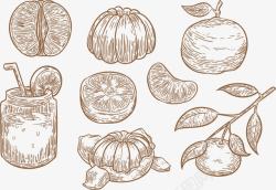 橙子汁手绘素描柚子水果高清图片