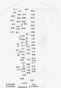 古典人体经络人体背部穴位分布高清图片