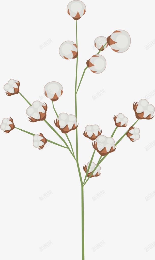 春季白色棉花植物png免抠素材_88icon https://88icon.com 开花 春季花朵 棉花 植物 花絮 装饰图案
