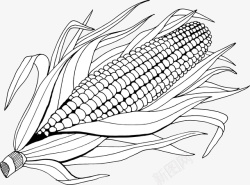 手绘卡通黑色玉米素描素材