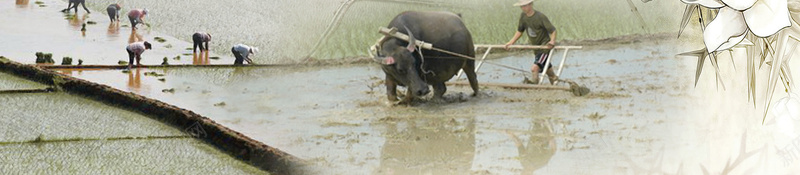 中式水墨复古农耕文化背景psd设计背景_88icon https://88icon.com 中国风 光线 农民 农耕 劳动 劳动节日 山脉 文化 水墨山水 清新 简笔山水画 简笔画 线条 耕地 耕种 耕种画 阳光