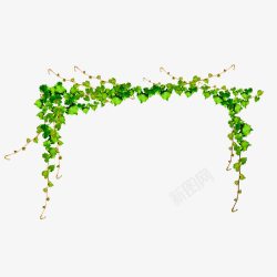 拱形花门花园中的绿色藤蔓高清图片