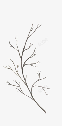 枯枝树干植物图案素材