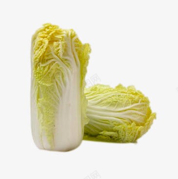 两个大白菜png免抠素材_88icon https://88icon.com png图片 两个大白菜 产品实物 时令蔬菜 绿色食品免费png 进口蔬菜