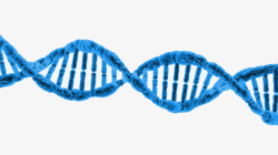 蓝色卡通DNA结构图素材
