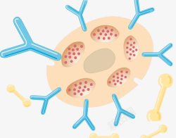 浆细胞抗体蛋白质高清图片