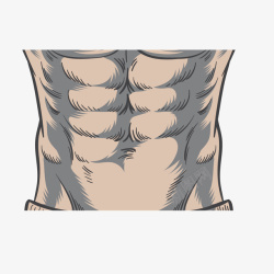 背部肌肉线条卡通人体腹肌矢量图高清图片