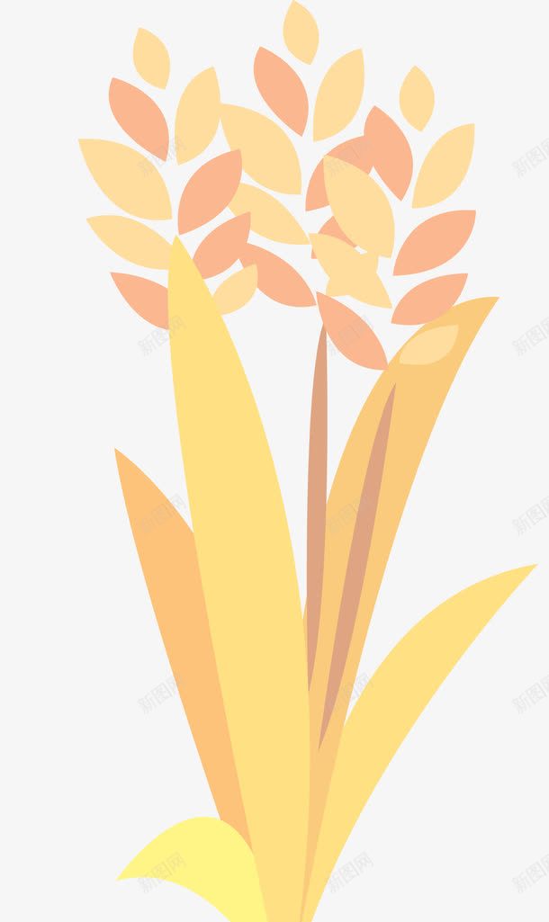 成熟的稻谷png免抠素材_88icon https://88icon.com 丰收 五谷杂粮 卡通 大米 小米穗 小黄米图片 成熟 水稻 燕麦 秋收 稻谷 米穗 粮食 麦子 麦穗