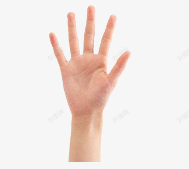 举起来的五指手掌png免抠素材_88icon https://88icon.com 举起 五指 人手 免扣 实物 手势 手指 手指方向 高清
