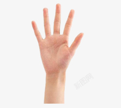 五指举起来的五指手掌高清图片