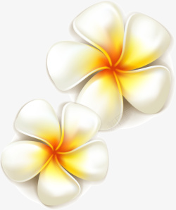 栀子花装饰设计矢量美丽白色花朵装饰高清图片