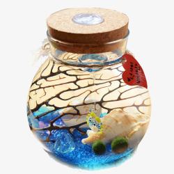 传达爱意海藻球带夜灯生态瓶高清图片