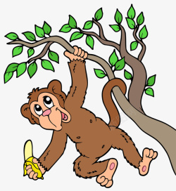 大猩猩挂在树上吃香蕉素材