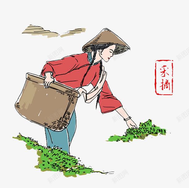 采茶的姑娘png免抠素材_88icon https://88icon.com 卡通 姑娘 茶叶制作 采茶 采茶姑娘