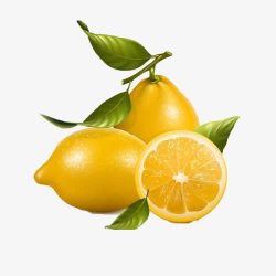 金桔柠檬水果装饰元素素材