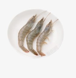 海鲜绿色食品盘子里的白虾高清图片