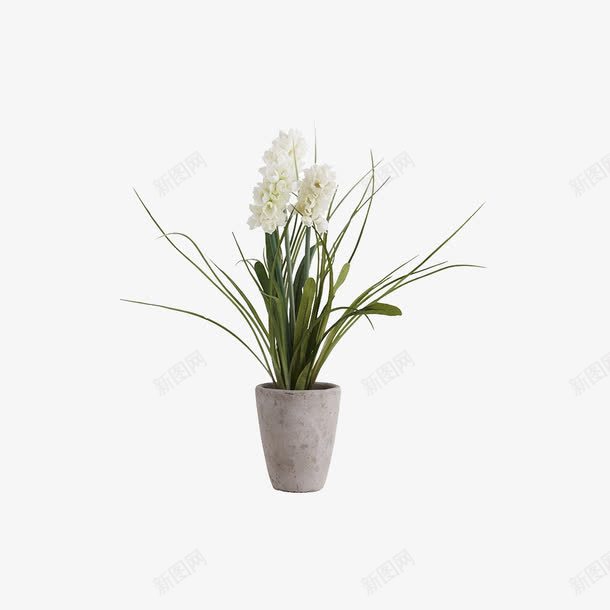 欧美流行插花绿植物鲜花软装png免抠素材_88icon https://88icon.com 大气 概念方案装饰 欧美软装设计方案素材 精美 精致 美化艺术 软装 软装设计 软装配饰 高品质 高精度 高质量