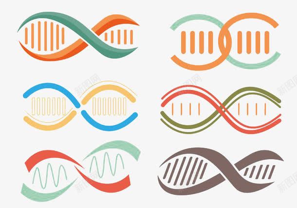 多个双螺旋向量png免抠素材_88icon https://88icon.com DNA分子 双螺旋结构 基因结构