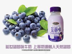 蓝莓牛奶素材