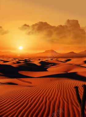 沙漠中夕阳西下风景背景背景
