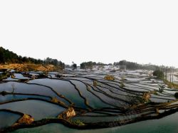 田园风光图云南元阳梯田高清图片