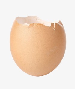 禽蛋蛋壳高清图片