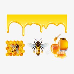 蜂巢蜂蜜素材