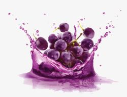 紫色果汁水果与果汁高清图片