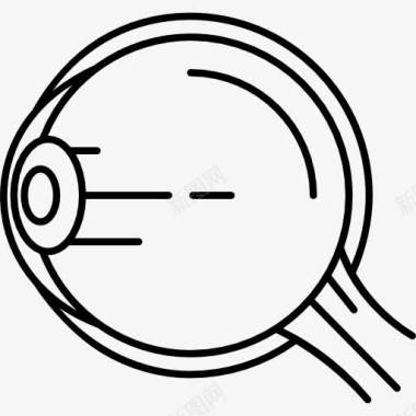 膳食结构眼球的结构图标图标