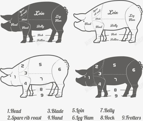 猪肉成分解析矢量图eps免抠素材_88icon https://88icon.com 家畜 猪肉 猪肉分类 猪肉成分 矢量素材 矢量图