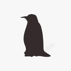 阴影企鹅企鹅图案高清图片